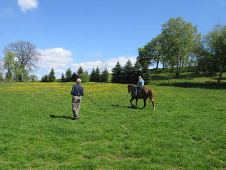 01 Reiten Lernen auf unserem Hof